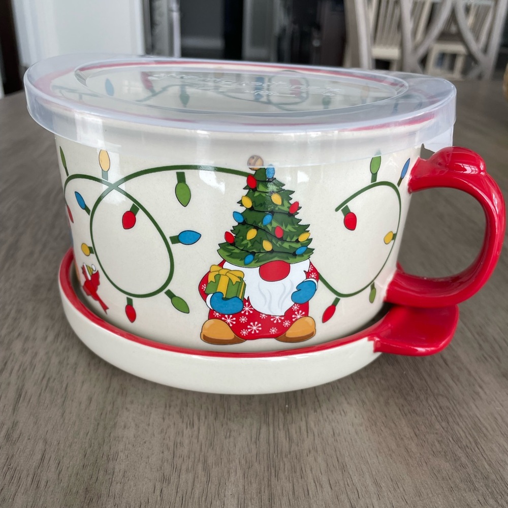 Set of 4 Temp-tations by Tara 25oz Soup/Meal Mugs/Bowls with Lid-its & Plates